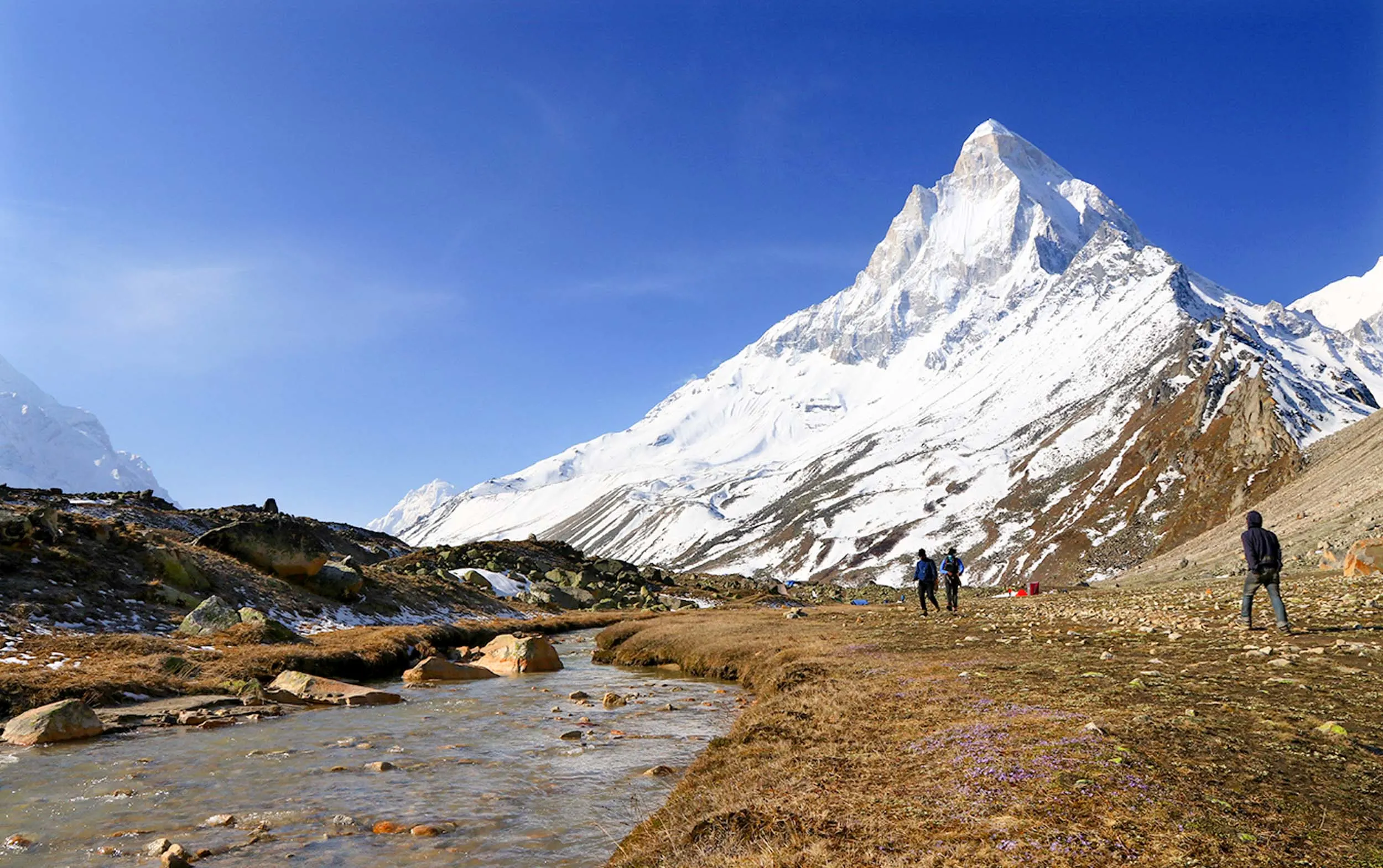 char dham yatra group tour